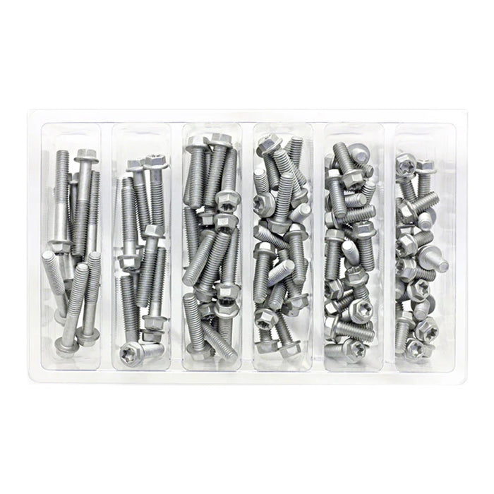 Bolt Workshop Service Kit: M6 Euro Torx Bolt