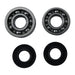Main Bearing and Seal Kit