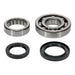Main Bearing and Seal Kit