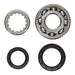 Main Bearing and Seal Kit