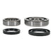 Main Bearing and Seal Kit