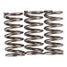Premier Clutch Springs - Heavy Duty
