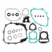 Complete Gasket Set with Oil Seals 8110043