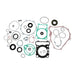 Complete Gasket Set with Oil Seals 811996