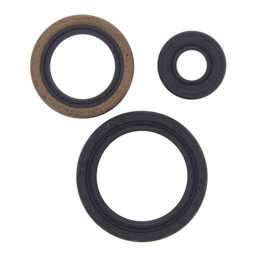 Oil Seal Kit 822143