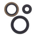 Oil Seal Kit 822143