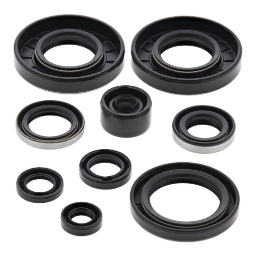 Oil Seal Kit 822292