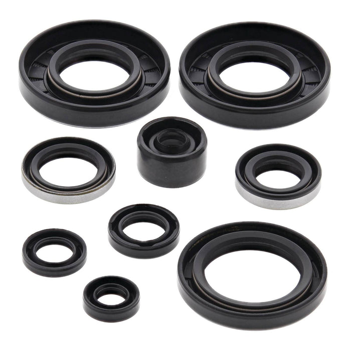 Oil Seal Kit 822292