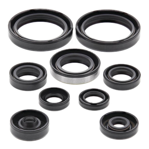 Oil Seal Kit 822316