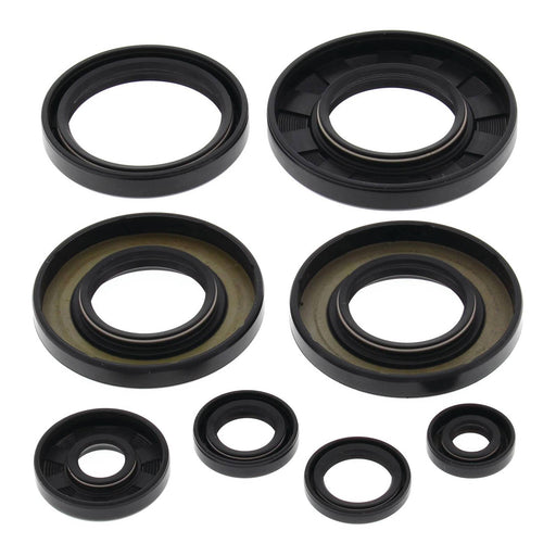 Oil Seal Kit 822349