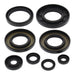 Oil Seal Kit 822349
