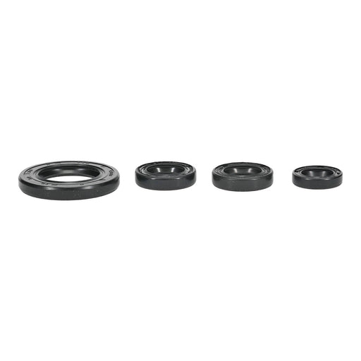 Oil Seal Kit 822395