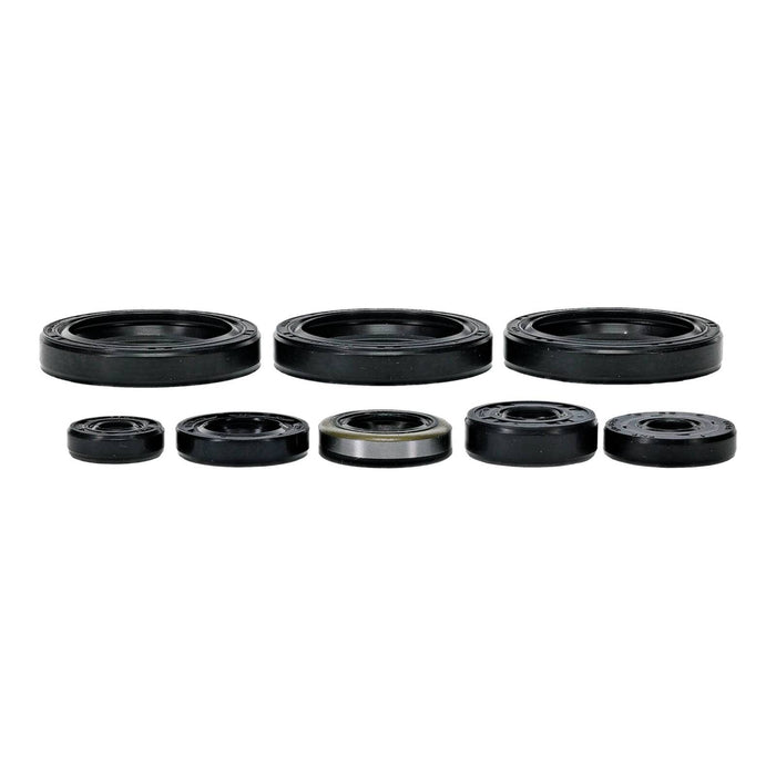 Oil Seal Kit 822403