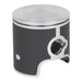 Top End Piston Kit (2 Stroke)