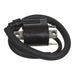 Whites Electrical Coil 12V