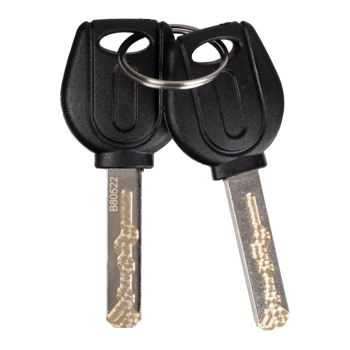 WMP Disc Lock Alarm Type 10mm Pin With Reminder